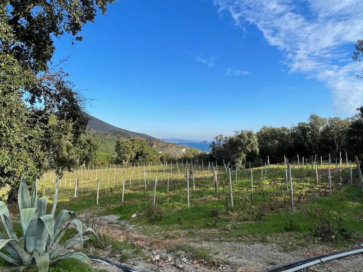 Agriturismo Le Sughere 里约滨海 外观 照片